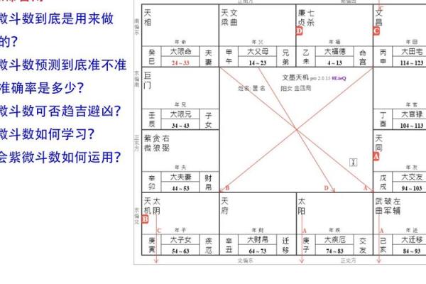 2025年4月1日巳时男命紫微斗数全解盘