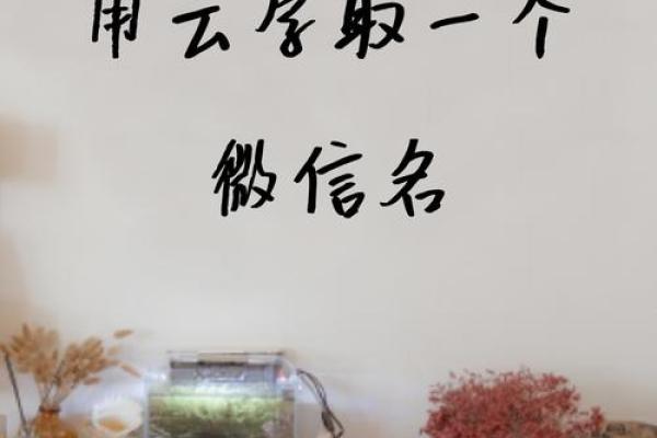 云姓女孩名字大全-云姓女孩起名字大全-云姓名字大全姓名 云姓女孩名字大全-云姓女孩起名字大全-云姓名字大全姓名