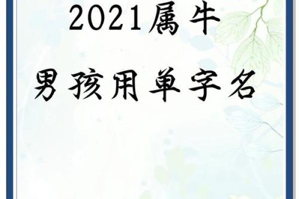 下午3点出生的属牛男孩怎么取名好姓名 下午3点出生的属牛男孩怎么取名好姓名