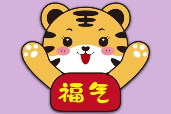 晚上10点出生的属虎适合男孩起什么名，用什么字姓名