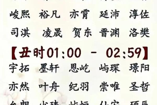 2019年3月28号巳时出生的男孩如何起名姓名